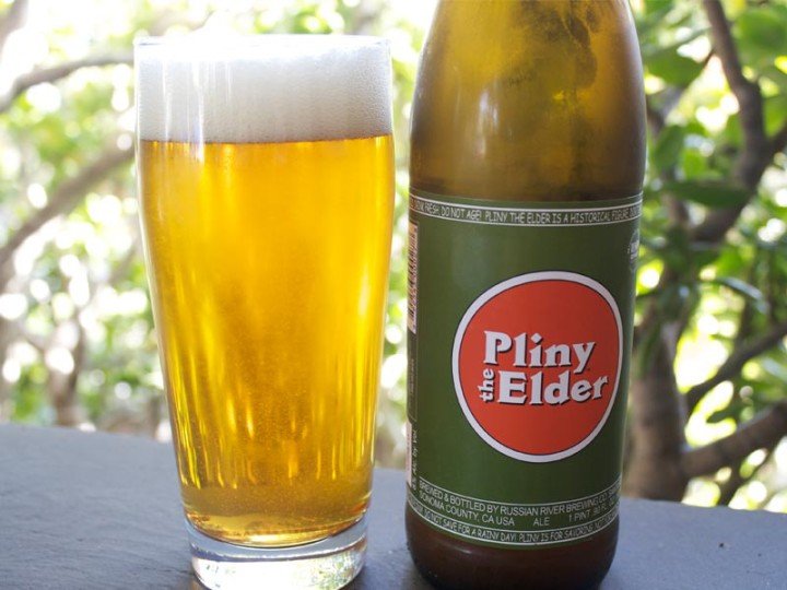 pliny the elder beer
