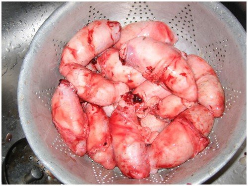 Rocky Mountain Oysters Weirdest Food in the World