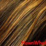 highlights lowlights hair at home