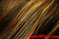 highlights lowlights hair at home