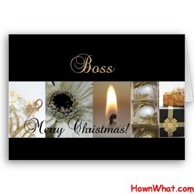 Sample Christmas Letter to Boss Template