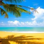 HOW TO TREAT ACNE IN SUMMER