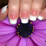White nails on purple flower