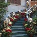 Christmas Decorations with Plants & Flowers