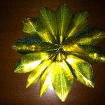 Making Stars Out of Paper at Home for Christmas Decorations